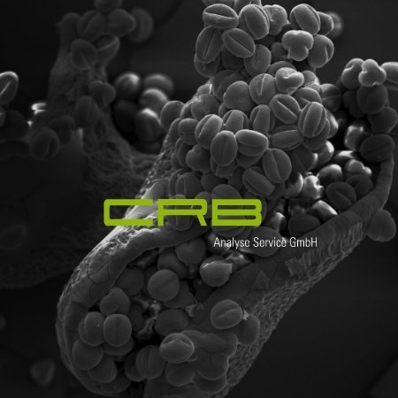 CRB Analyseservice GmbH