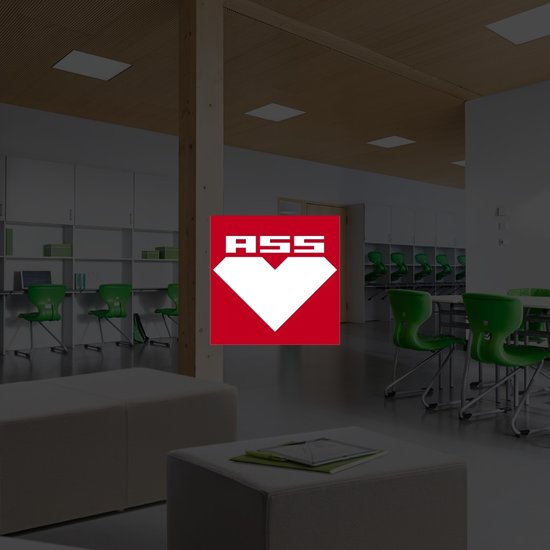 ASS Einrichtungssysteme